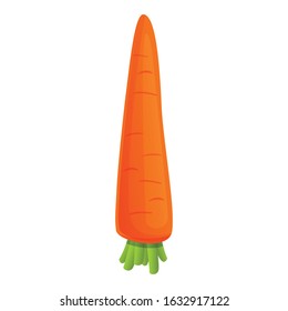 Eco carrot icon. Cartoon of eco carrot vector icon for web design isolated on white background