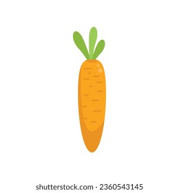 Eco carrot icon flat vector. Organic farming. Vegetable food isolated