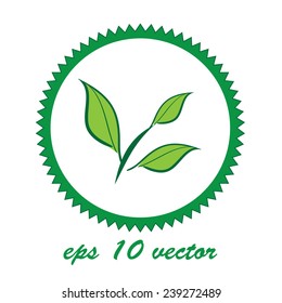 Eco certification / Bio certification / Eco certificate with leaves  vector element