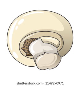 Eco champignon icon. Cartoon of eco champignon vector icon for web design isolated on white background