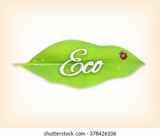Eco concept. EPS10 vector