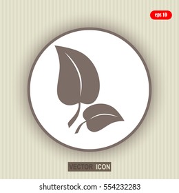 Eco concept, with  leaf