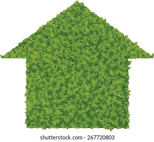 Forma de planta de concepto ecológico como flecha de dirección o casa sobre fondo blanco
