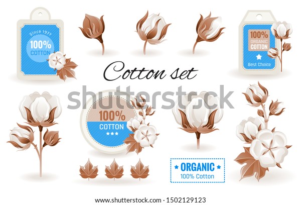 Eco Cotton label design & flower set. 100\
bio organic cotton tag icon. Bud, leaf element. 3d realistic\
sticker. Textile production & fashion logo. Cartoon vector\
illustration isolated white\
background