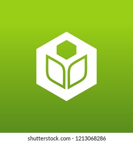 Eco Cube Abstract Logo Icon Design