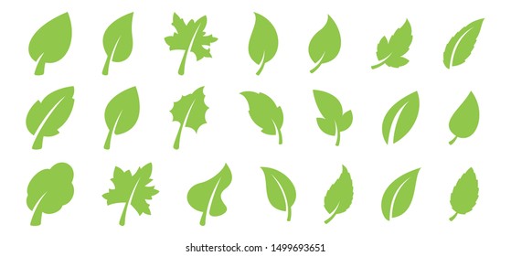 Eco design element. Set of green leaf. Vector illustration