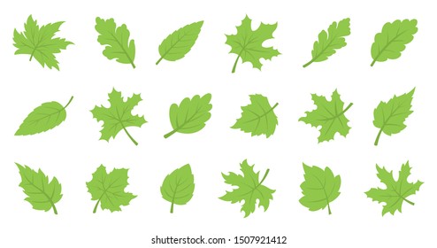 Eco design element. Set of green leaves
