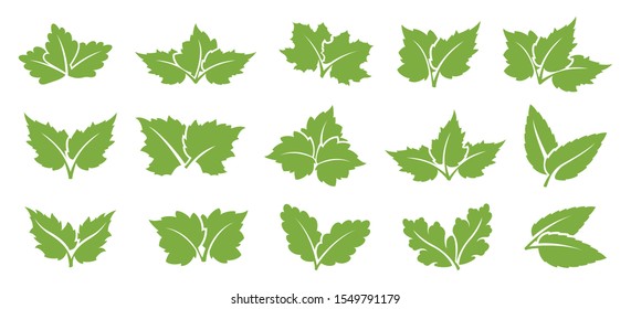 Eco design element. Set of green leaf.