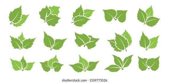 Eco design element. Set of green leaf.