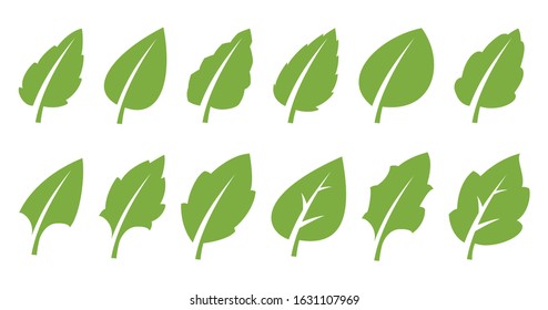 Eco design element. Set of green leaf. clean and with water drop