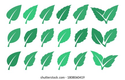 Eco design element. Set of green leaves