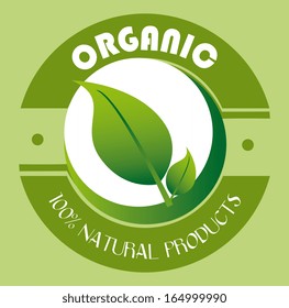 eco design over green  background vector illustration 