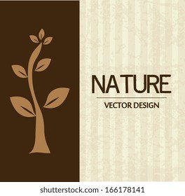 eco design over lineal   background vector illustration 