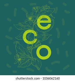 ECO design , vector illustration.