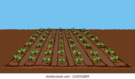 Eco early lush ripe soy bush culture corn sow root on tillage plow mulch patch land. Bright color hand drawn diet life scenic background in modern doodle cartoon style and space for text on blue sky