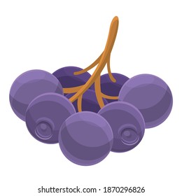 Eco elderberry icon. Cartoon of eco elderberry vector icon for web design isolated on white background