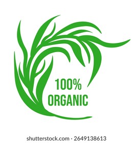 Eco emblem. 100% Organic business design. Vector illustration of tropical palm leaf with 100 % Organic text isolated transparent background. Perfect ads branding tag, emblem badge template design. 