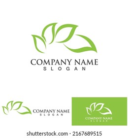 Eco Energy Vector Logo with leaf symbol. Green color with flash or thunder graphic. Nature and electricity renewable. This logo is suitable for technology, recycle, organic.