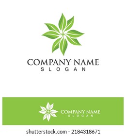 Eco Energy Vector Logo with leaf symbol. Green color with flash or thunder graphic. Nature and electricity renewable. This logo is suitable for technology, recycle, organic.