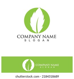 Logotipo del vector de energía ecológica con símbolo de hoja. Color verde con flash o imagen de trueno. Naturaleza y electricidad renovables. Este logotipo es adecuado para la tecnología, el reciclaje, el orgánico.