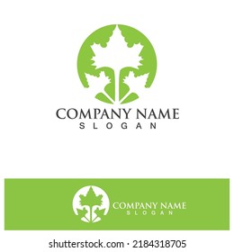 Eco Energy Vector Logo with leaf symbol. Green color with flash or thunder graphic. Nature and electricity renewable. This logo is suitable for technology, recycle, organic.