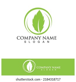 Eco Energy Vector Logo with leaf symbol. Green color with flash or thunder graphic. Nature and electricity renewable. This logo is suitable for technology, recycle, organic.