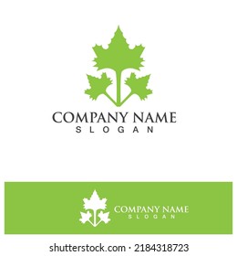 Eco Energy Vector Logo with leaf symbol. Green color with flash or thunder graphic. Nature and electricity renewable. This logo is suitable for technology, recycle, organic.