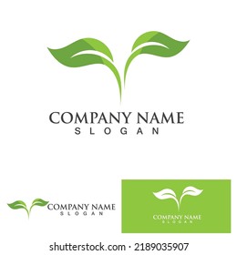 Eco Energy Vector Logo with leaf symbol. Green color with flash or thunder graphic. Nature and electricity renewable. This logo is suitable for technology, recycle, organic.