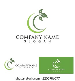 Eco Energy Vector Logo with leaf symbol. Green color with flash or thunder graphic. Nature and electricity renewable. This logo is suitable for technology, recycle, organic.