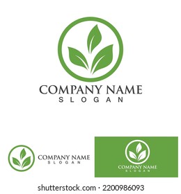 Eco Energy Vector Logo with leaf symbol. Green color with flash or thunder graphic. Nature and electricity renewable. This logo is suitable for technology, recycle, organic.