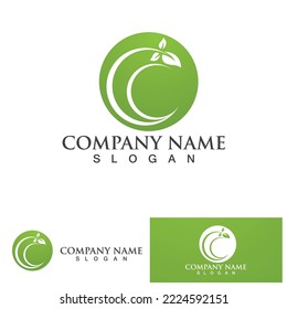 Eco Energy Vector Logo with leaf symbol. Green color with flash or thunder graphic. Nature and electricity renewable. This logo is suitable for technology, recycle, organic.