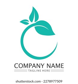 Eco Energy Vector Logo with leaf symbol. Green color with flash or thunder graphic. Nature and electricity renewable. This logo is suitable for technology, recycle, organic.