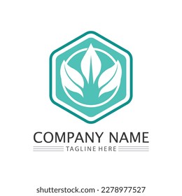 Eco Energy Vector Logo with leaf symbol. Green color with flash or thunder graphic. Nature and electricity renewable. This logo is suitable for technology, recycle, organic.