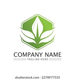 Eco Energy Vector Logo with leaf symbol. Green color with flash or thunder graphic. Nature and electricity renewable. This logo is suitable for technology, recycle, organic.