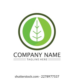 Eco Energy Vector Logo with leaf symbol. Green color with flash or thunder graphic. Nature and electricity renewable. This logo is suitable for technology, recycle, organic.