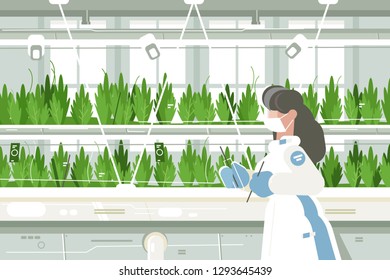 Eco farm with aquaponics system of planting vegetable. Growing plants in the greenhouse flat style concept vector illustration. Girl in special white suit. Crops on background