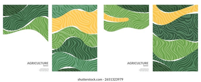 Diseño de Vector de tierras de cultivo ecológico con uva de viñedo, patrón de té abstracto, collage rural, campo plano, diseño de fondo, textura de la naturaleza, arte verde, historia de volante, mosaico de Fondo de pantalla, terraza de paisaje