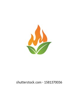 Eco flame logo template vector icon design
