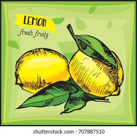   Eco food label. Hand drawn sketch lemon. Green leaves background. Farmers market logo. Fresh fruit vintage banner. Vector illustration