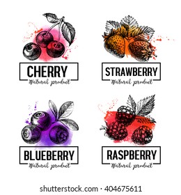 Eco food labels set. Watercolor and hand drawn sketch berries. Farmers market logo banners. Vector illustration