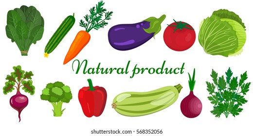 Eco food menu background. Fresh organic food, healthy eating vector background with place for text.