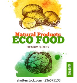Eco food menu background. Watercolor and hand drawn sketch vegetable. Vector illustration