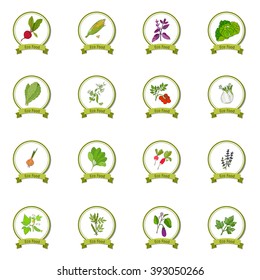 Eco foods. Hand drawn vegetable set. Vector illustration