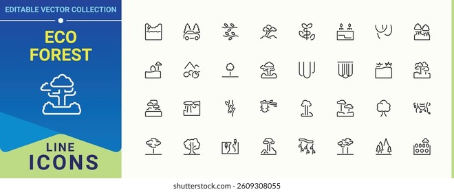 Eco Forest modern icon. Rainforests simple icon. Botanical outline icons in linear style. Minimalist icons collection. Editable stroke. Vector illustration.