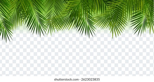 Eco Frame With Green Palm Tree Leaves And Transparent Background Vector Illustration