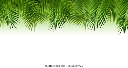Eco-Rahmen mit grüner Palme hinterlässt weißen Hintergrund Vektorgrafik