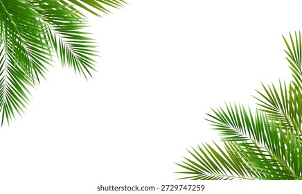Marco ecológico y hojas de palmera verde con malla degradada, Ilustración vectorial