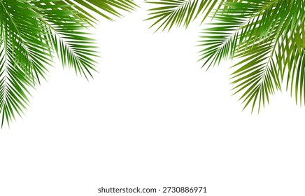 Eco Frame And Green Palm Tree Leaves With Gradient Mesh, Vector Illustration