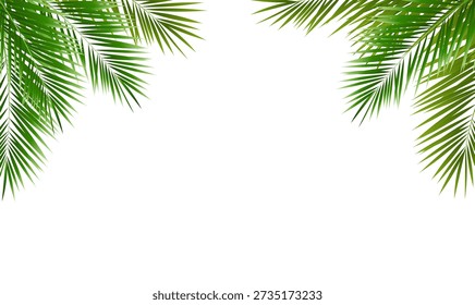 Eco Frame With Green Palm Tree Leaves , Vector Illustration