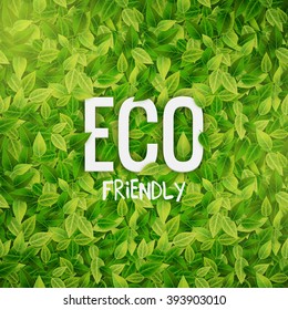 Eco Friendly Banner With Green Leaves, Vector Illustration